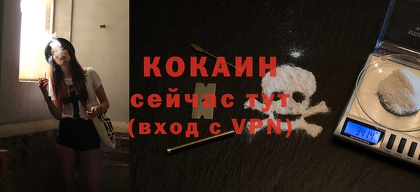 стаф Карпинск
