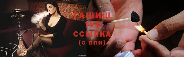 стаф Карпинск