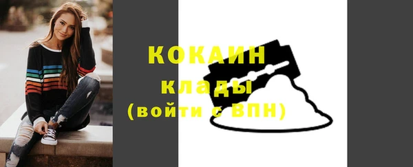 стаф Карпинск