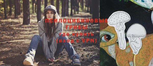 крисы Кинешма