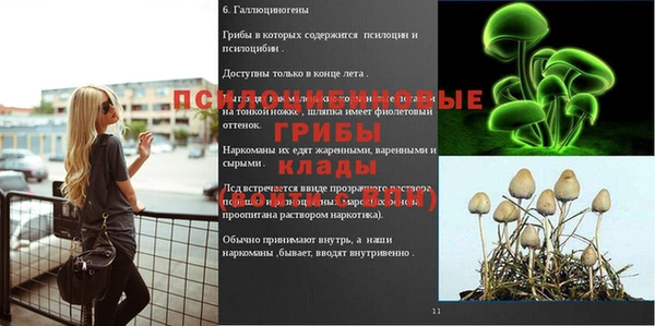 меф Инта