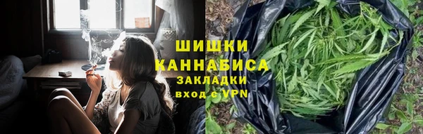 амф Каменногорск